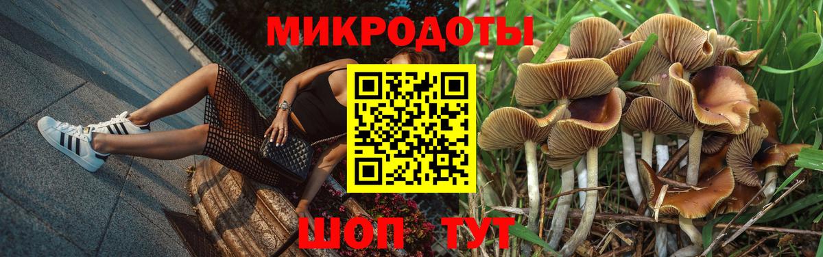 Галлюциногенные грибы мухоморы Славянск-на-Кубани