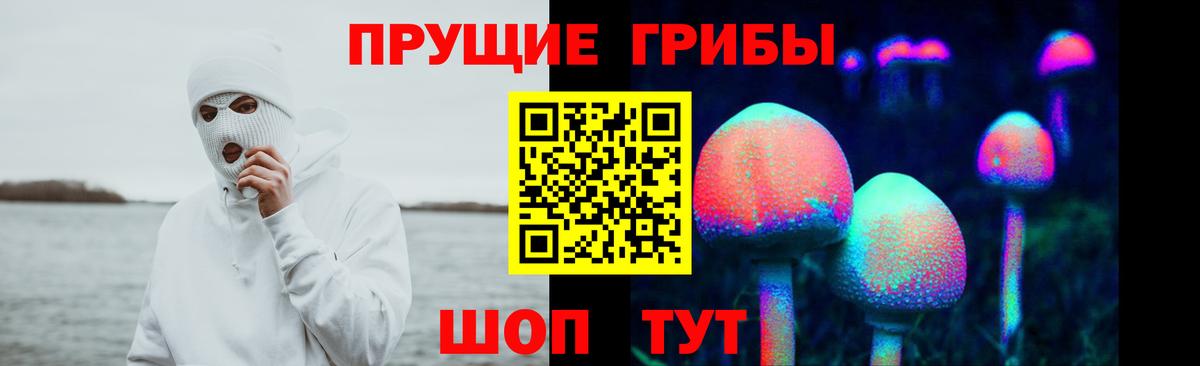 Галлюциногенные грибы Magic Shrooms  Вход с VPN  что такое наркотик  Славянск-на-Кубани 
